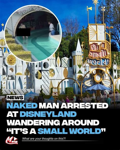 Man arrested after stripping naked, disrupting iconic Disneyland ride