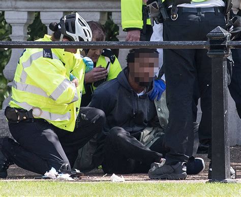 Man arrested outside Buckingham Palace with suspected weapon