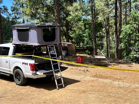 Man dies in bear attack at Arizona campsite