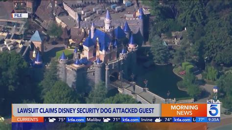 Man files lawsuit against Disneyland over alleged attack by security dog