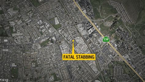 Man found stabbed to death in Hayward