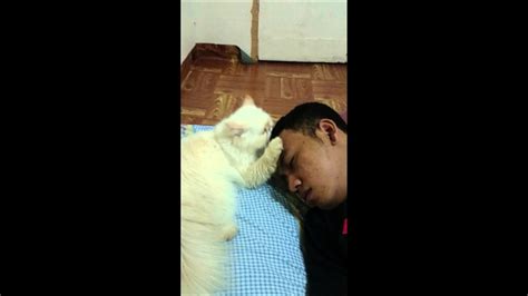Man fucks cat. Things To Know About Man fucks cat. 