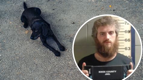 Man having sex with dog. Things To Know About Man having sex with dog. 