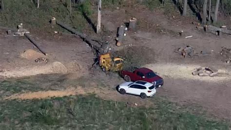 Man killed by falling tree in Fairfax Co.