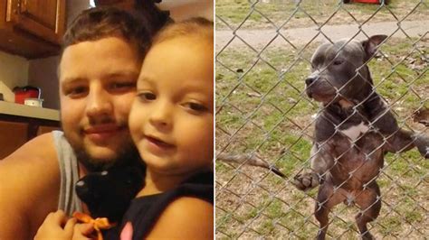 Man killed by family member’s 4 dogs found with most of his clothing ripped off