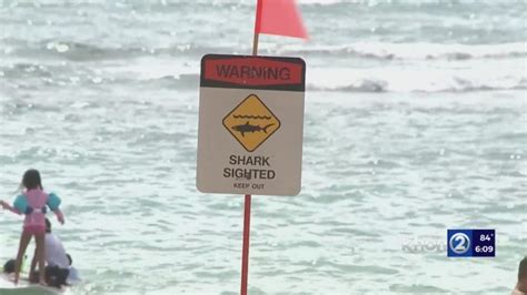 Man killed in Hawaii 'shark encounter'
