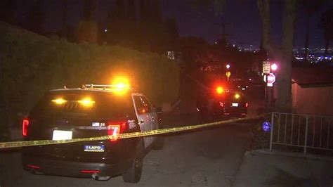 Man killed in driveway of Hollywood Hills West home
