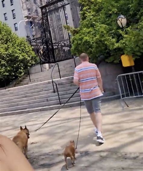 Man stabs pit bull to death in Central Park after argument between dog walkers