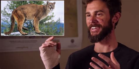 A Colorado jogger strangled a mountain lion to death in the foothills of Horsetooth Mountain, northwest of Denver, acting in self-defence after the predator attacked him, authorities said on Tuesday.