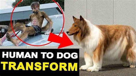 Man turns into dog. Things To Know About Man turns into dog. 