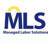 Apply for a Managed Labor Solutions Airport Rental Car 