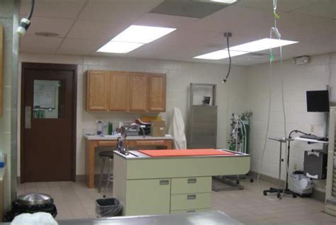 Management in Battle Creek, MI - Dickman Road Veterinary Clinic