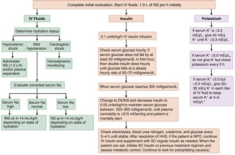 Management of the Hyperosmolar Hyperglycemic Syndrome - Am…