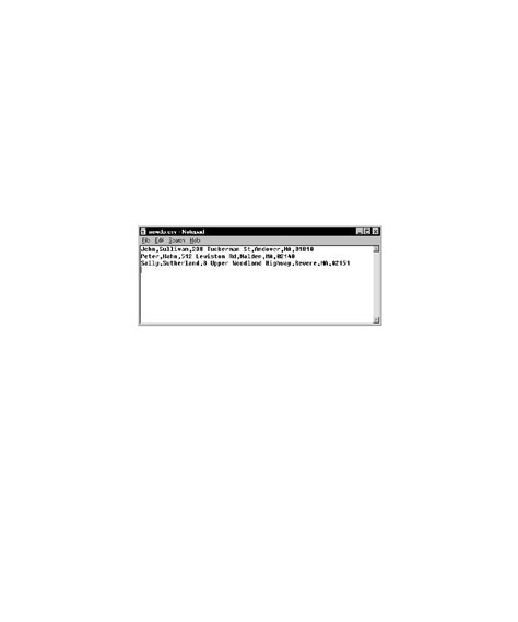 Manager Test Rational Guide User