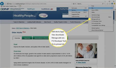 Managing Add Ons in Internet Explorer 11