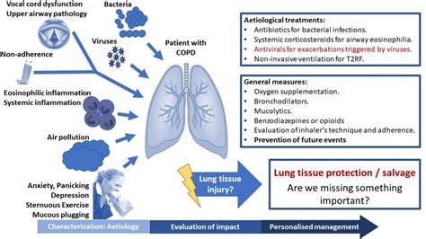 Managing Chronic and Acute COPD Exacerbations