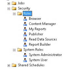 Managing SSRS security and using PowerShell automation scripts