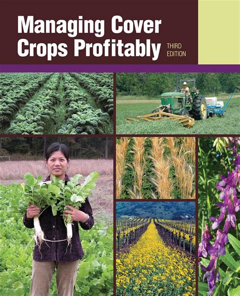 Managing cover crops profitably sustainable agriculture network handbook series. - Raimundo adhemar braga, um cientista em ação.