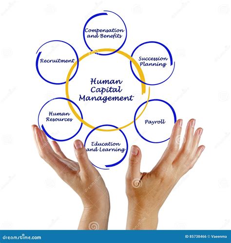 Managing-Human-Capital Prüfungsübungen