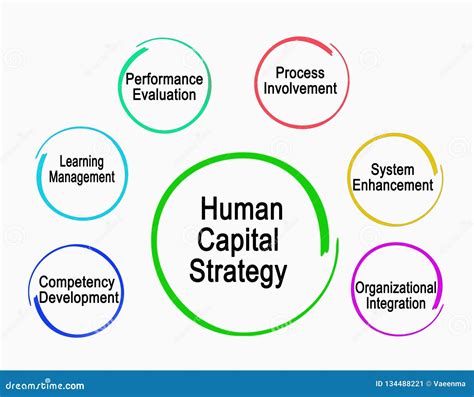 Managing-Human-Capital Vorbereitung