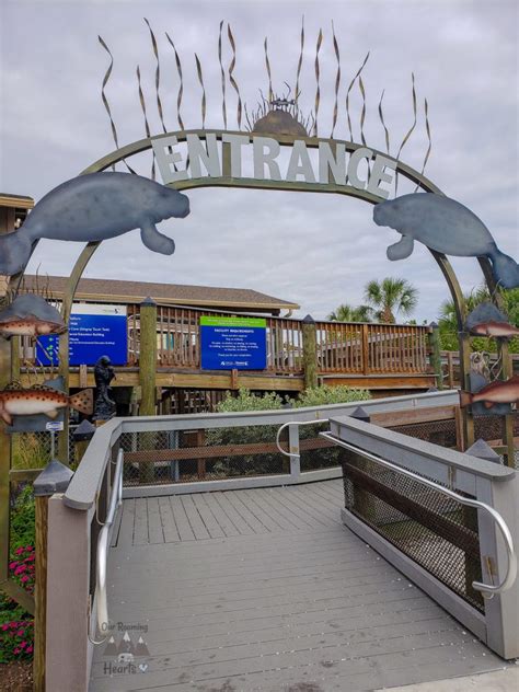 Manatee viewing center apollo beach. The conservation campus is a 20-acre campus located in Apollo Beach, Florida, and exists as a partnership between the Tampa Electric Company (TECO), The Florida Aquarium, the Florida Fish and Wildlife … 