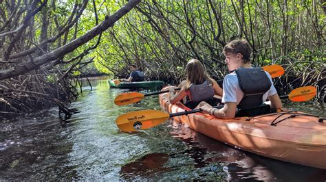 Manatees and Mangroves - Adventure Paddle Tours