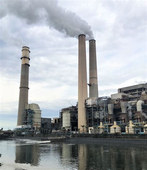Manatees seek warm refuge at Teco Big Bend Power Station in Tampa Bay