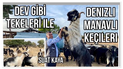 Manavli Halı ve Koltuk Yıkama