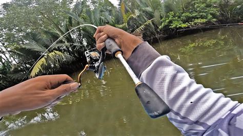 Mancing ikan di sungai togel. Draw china hari ini tercepat 2021.