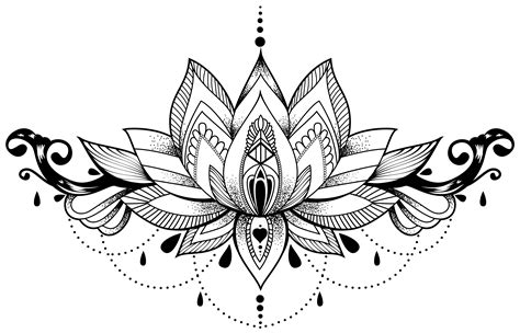 Mandala Lotus Drawing