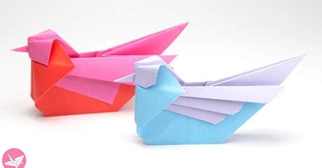 Mandarin and Seagull Bird Origami Paperized Crafts