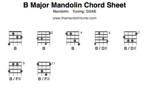 Notes in a B 7th Mandolin chord. Root : B. 3rd : D#. 5th