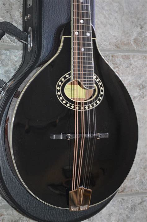 Mandolin store. Things To Know About Mandolin store. 
