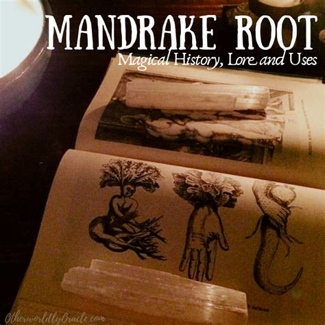 Mandrake root uses.  - Authentic used vinyl LP in goodcondition.  Feb 1, 2023 · The...
