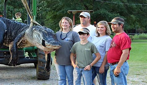 Mandy stokes alligator. The Mandy Stokes Alligator. Size: 15 feet 9 inches Weight: 1,011.5 pounds Year: 2014 Where: Alabama. This whopper might not be the largest on record but it remains the largest alligator to ever legally be killed since its death in 2014. ... The Tom Grant Alligator. Size: 13 feet 1.5 inches Weight: 697.5 pounds Year: ... 