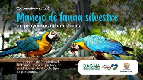 Manejo de fauna silvestre en amazonia y latinoamérica. - Belkin n300 wireless usb adapter user guide.