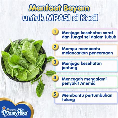 Manfaat Bayam (#8 Sudah Pasti Ampuh) - Manfaat.co.id