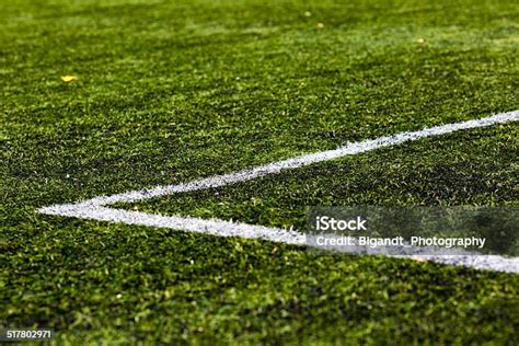Manfaat Menggunakan Cat Rumput Lapangan Sepak Bola