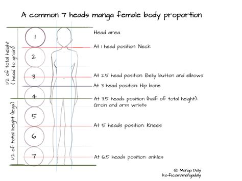 Manga Tutorial Proportions Coloring Pages for Adults