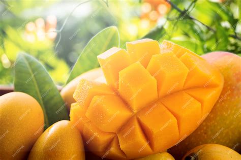 Mango Onlyfans Leak