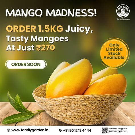 Mango Online Chennai Mangoes Online Chennai