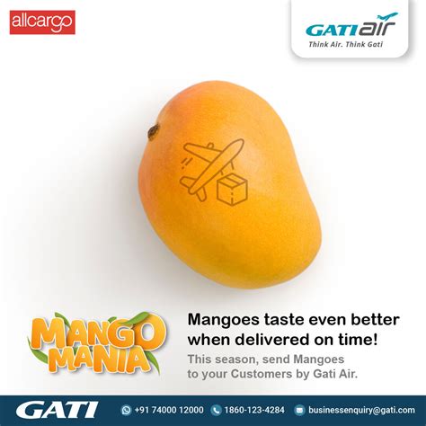 Mango Shipping: A Guide to Profitable and Hassle-Free Delivery