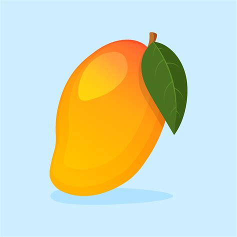 Mango Vector Art, Icons, and Graphics for Free Download