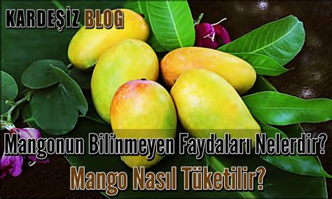 Mango faydaları nasıl tüketilir