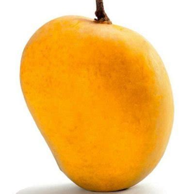 Mango porn. Things To Know About Mango porn. 