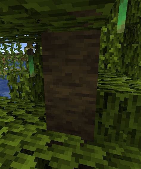 Mangrove Logs How to get and How to Use it
