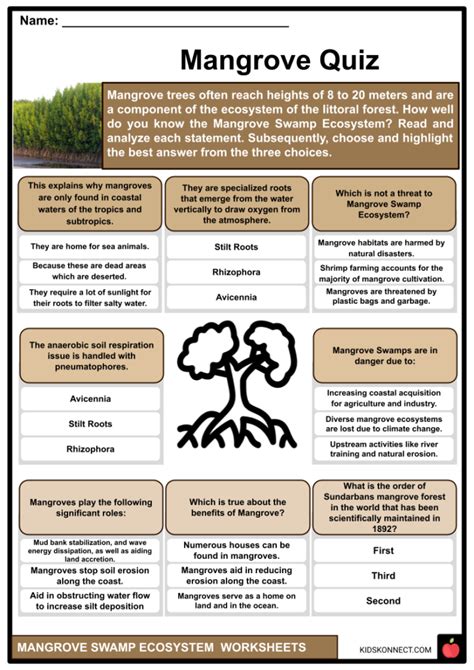 Mangrove worksheet.  ELEMENTARY SCHOOL - Plan for at least six lessons on ...