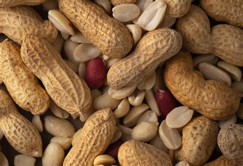 Mani Halı ve Koltuk Yıkama