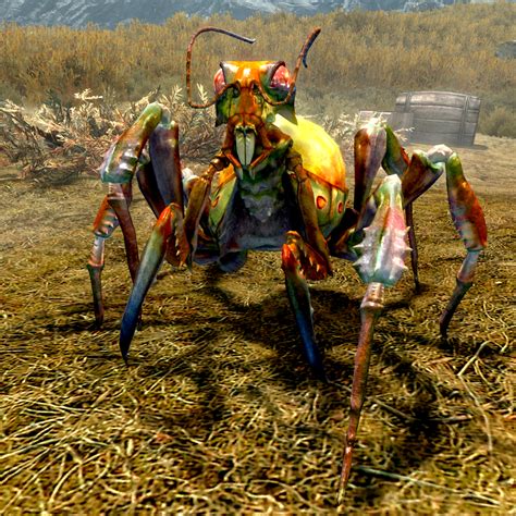 Skyrim Anniversary Edition - The Demented Elytra Nymph is one of two friendly Elytra Nymphs that you can obtain as pets, the other being the Manic Elytra Nym....