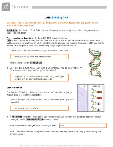 Manipulating dna answer key. .  ...